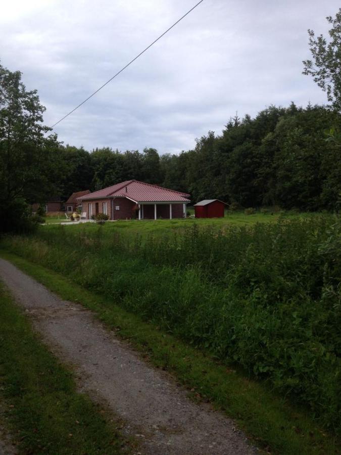 Ferienhaus Am Paradies Neuschoo Exteriér fotografie